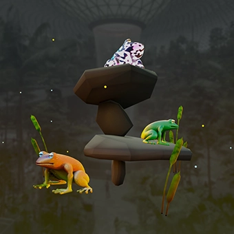 Spot the Frog AR Scene 03