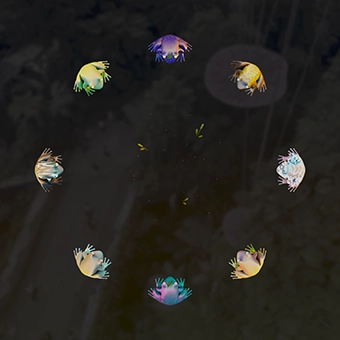 Spot the Frog AR Scene 05