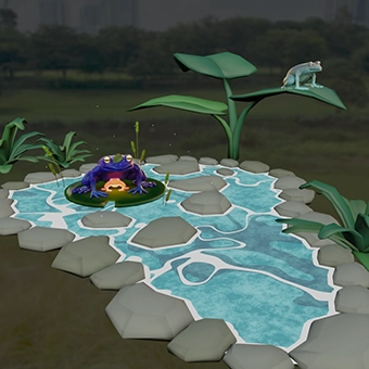 Spot the Frog Experience – The Frog Garden
